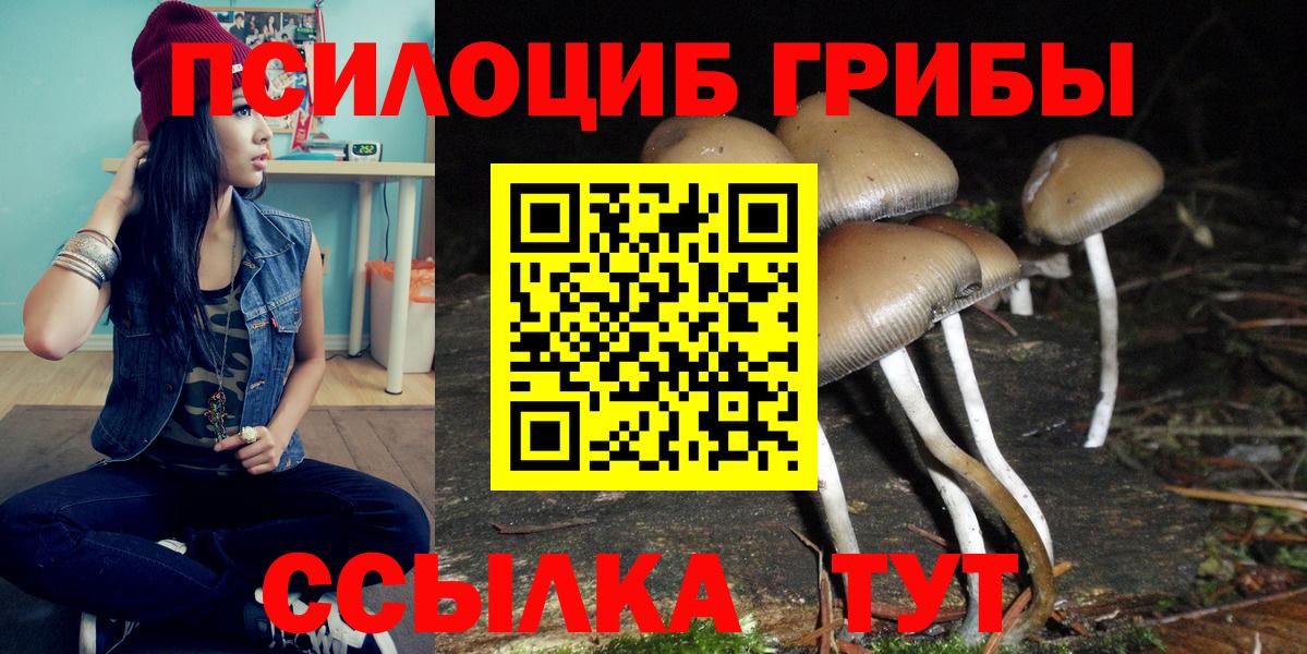 Дедовск  Псилоцибиновые грибы мухоморы  что такое   Галлюциногенные грибы Psilocybine cubensis  Вход с VPN 